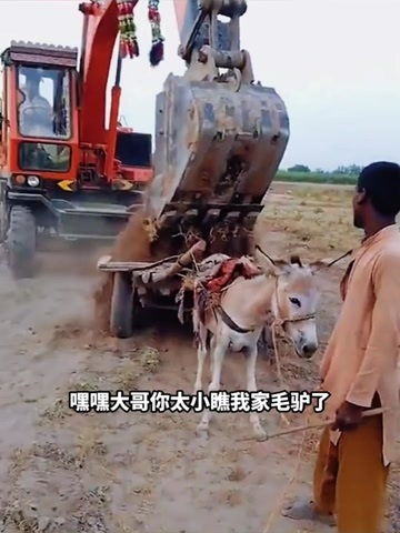 小毛驴拉土,驴 做梦都没有想到 