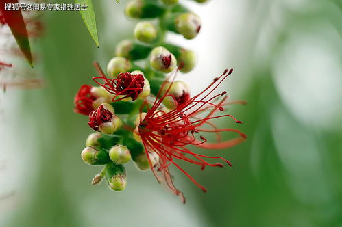 八字算命 女人能嫁大富大贵老公的八字