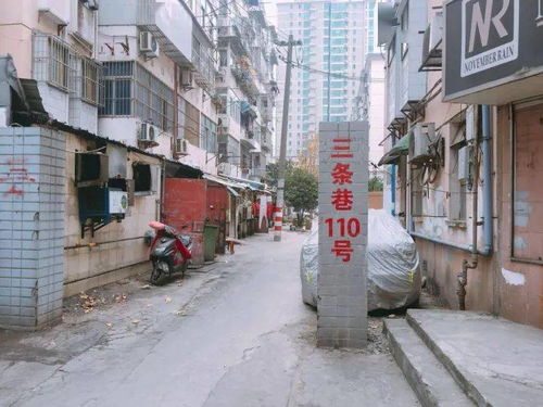 在南京,光是三条巷里的面条都养肥了不少胖子