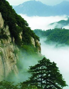 终南山 心安是归处,守护方寸一心田 