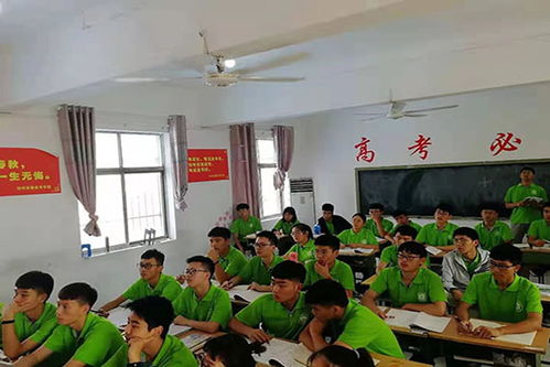 郑州艺考培训机构排行