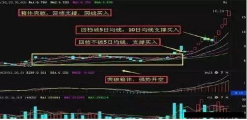 上海交易所a股当中那家公司的股票属于蓝筹股