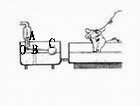 乳牛自动喂水器装置原理用用到的物理原理或规律 