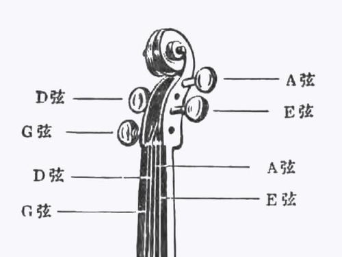 小提琴的四根弦分别是什么音 