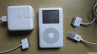 ipod shuffle(iPod shuffle如何下载歌曲，要详细一点的。)