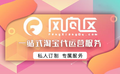 风向区淘宝网店运营服务,从品牌到运营推广,一对一服务 