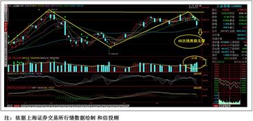 为什么主力净流入为正值会跌呢？