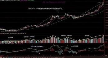 我想问一下大盘指数上三种不同颜色的线（黑，蓝，粉）分别指什么啊？