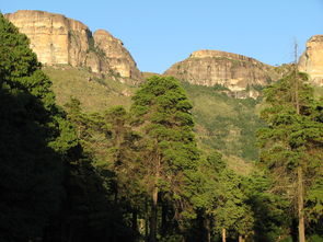 堡,皇家国家公园,山,度假,景观,非洲,夸祖鲁 纳塔尔,徒步旅行,风景 