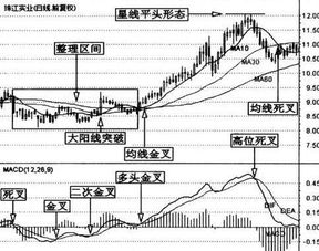 看不见0轴那根线 如何能让软件显示0轴线