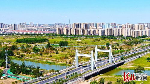 河北沧州运河天气预报