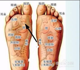 手指指的呢个地方疼是咋回事 