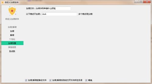 自定义加密软件