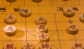 2017最新成为象棋高手阶段有哪些 