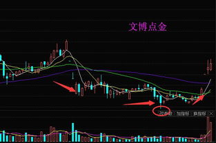 赛轮金宇股票有价值吗