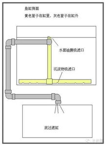 鱼缸水循环过滤的正确方法(鱼缸水循环过滤的正确方法图片)