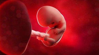 孕早期三个月怕流产怕畸形,其实胎儿最怕这七样,做到了自然安全