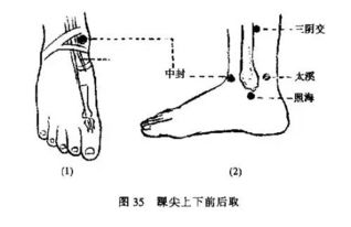 每天必读一穴 中封穴 梦遗精少常按中封