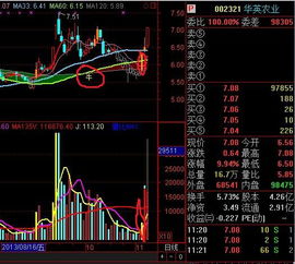 请问下，指南针的选股公式放在哪个文件夹？？？