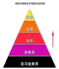 投资顾问公司招的理财专员是做什么的啊