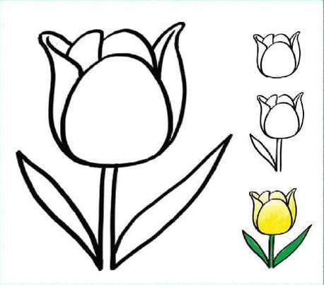 郁金香怎么画简单好看三步,儿童画花朵的几种画法？