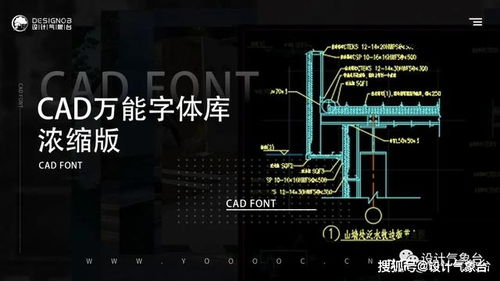 CAD 你的图纸缺少shx字体 不存在的