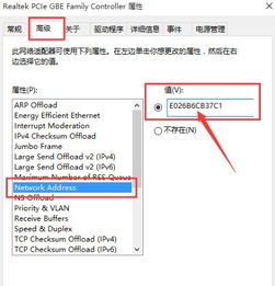 win10系统如何修改mac