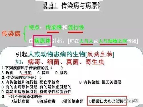 初中生（初一）如何合理安排学习时间？如何解压？各位哥哥姐姐来回答下吧