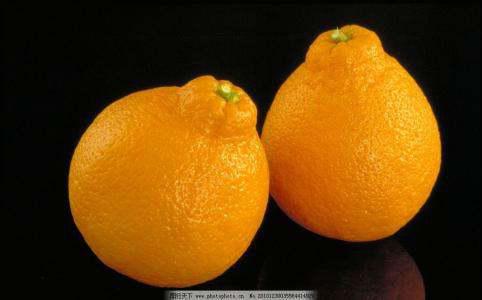 橘子一般有多大 