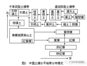 高三地理二轮复习微专题 土壤