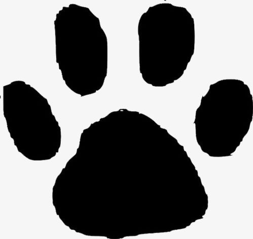 黑色的狗爪印素材图片免费下载 高清png 千库网 图片编号9242482 