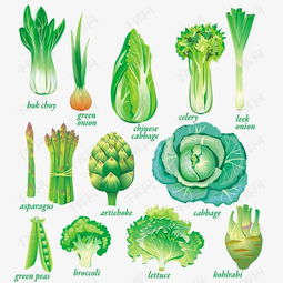 绿色蔬菜有哪些