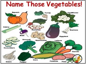 vegetables怎么读音 vegetables读音