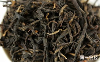 什么是古树红茶 古树红茶的特点