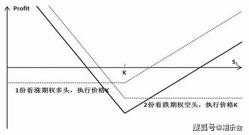 什么是卖出看跌期权,卖出看涨,买入看跌,买入看涨