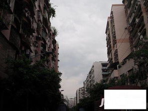 重庆新农街小区二手房房源,房价价格,小区怎么样 