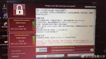 勒索比特币病毒叫什么,比特币勒索病毒事件结果