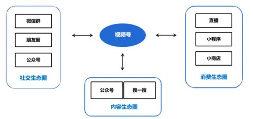 X7X7任意噪视频如何运作