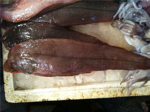 葱油玉兔鱼的做法,葱油玉兔鱼怎么做好吃,葱油玉兔鱼的家常做法 壹的梦想 