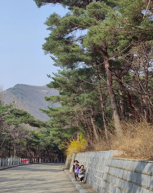 旅游方式分享 大连大黑山一日游 