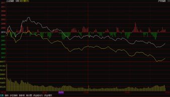 上证指数分时图中黄线主要是哪些股票带的