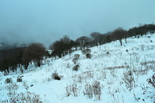 雪花和雾是什么变来的？