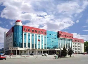齐齐哈尔医学院第二附属医院(齐齐哈尔医学院到二附做几路公交)