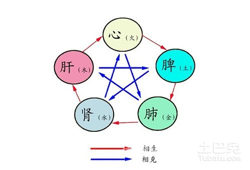 阴阳五行基本介绍