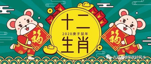 2020庚子鼠年十二生肖运势大赏鸡 狗 猪篇