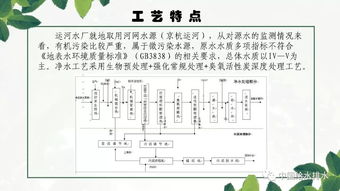 运河水厂在现代化水厂模式下的工艺运行管理实践 