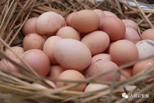 每周食药黑榜 第47期 进口食品能放心送进口吗 