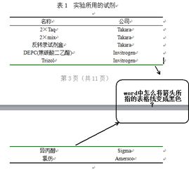 Word表格线颜色怎么调整