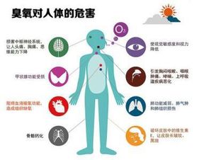 负离子空气净化器会产生臭氧吗 对人体有危害吗