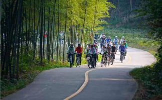 国庆假期游玩攻略 国家全域旅游示范区霍山的五种玩法 